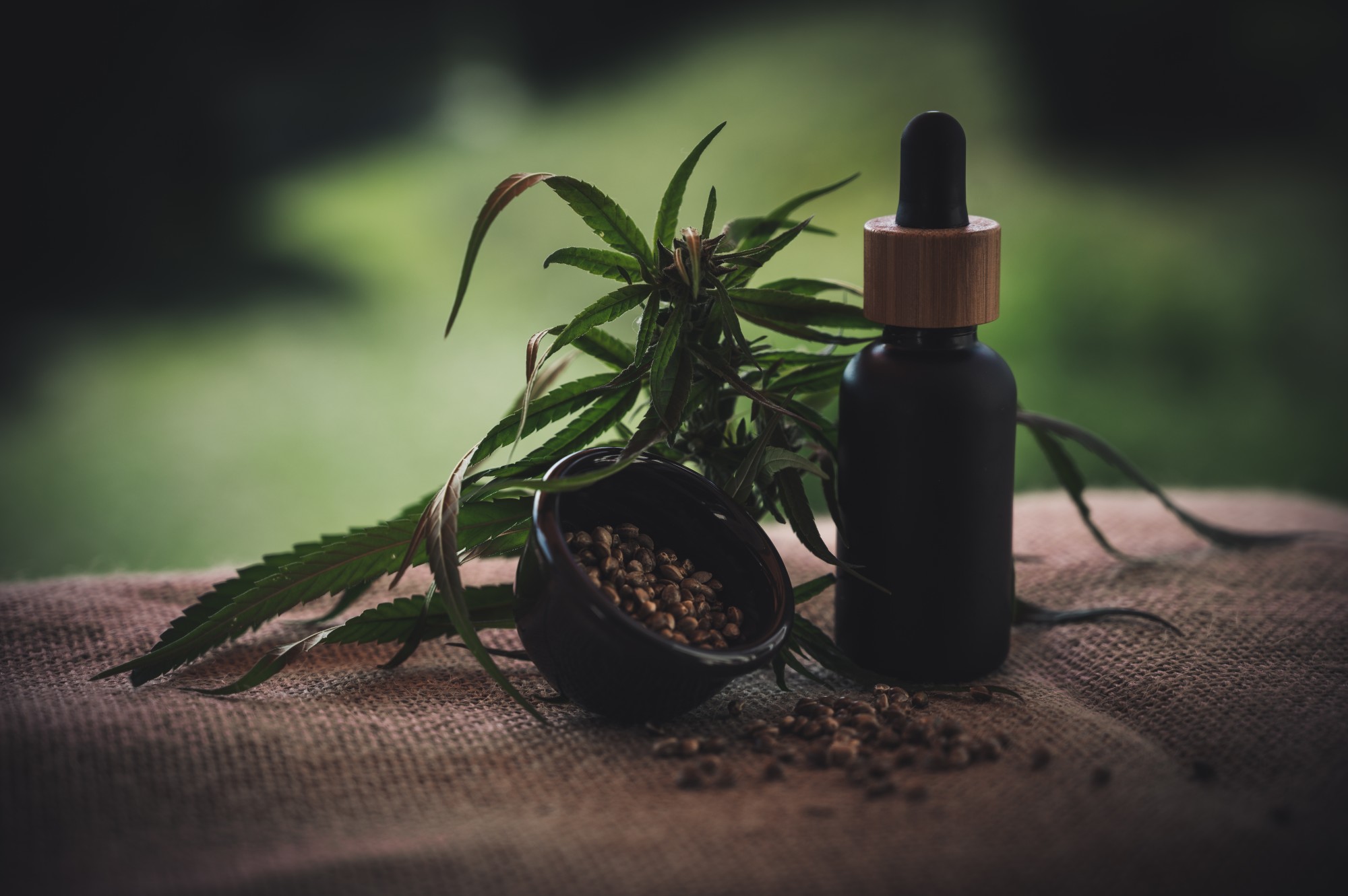 Are you wondering what CBD biomass is? Click here for the ultimate guide to CBD biomass and learn how you can use it and its benefits.