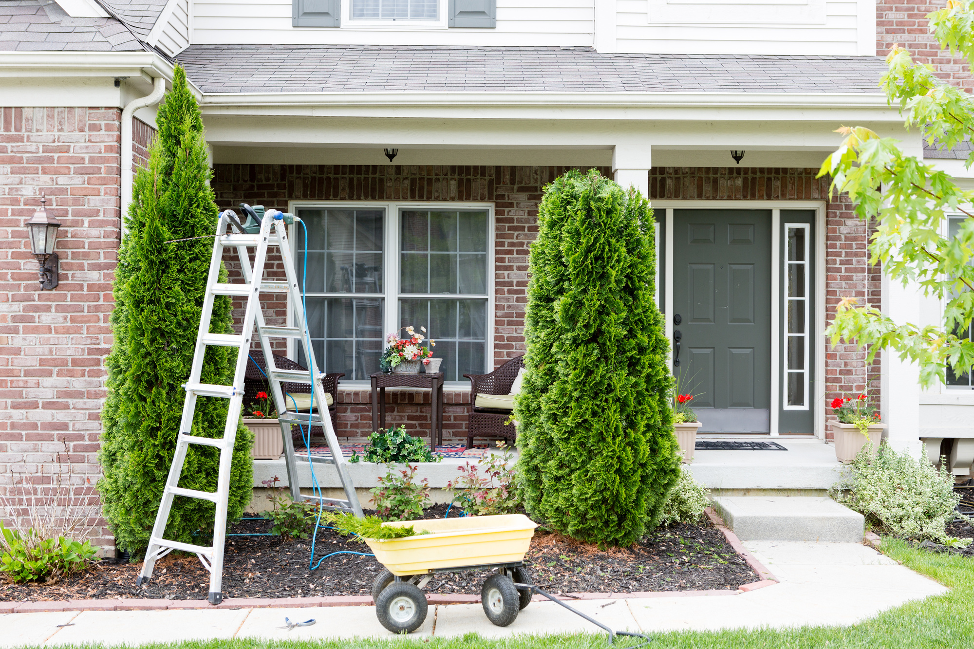 Are you looking for home maintenance essentials? If so, take a look at this guide for everything that you need to know.