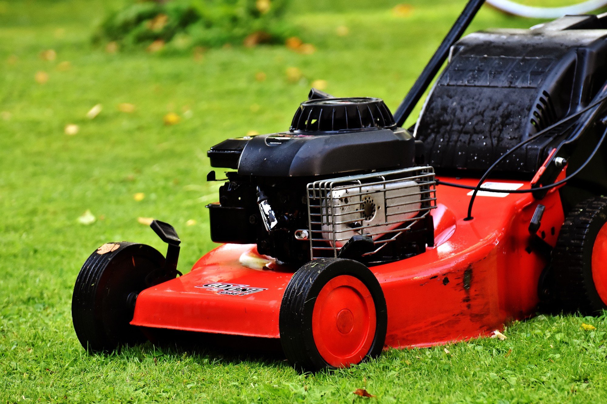 Each season brings with it new weather - and new grass height requirements. Are you cutting grass too short? Find out the best height for a healthy lawn!