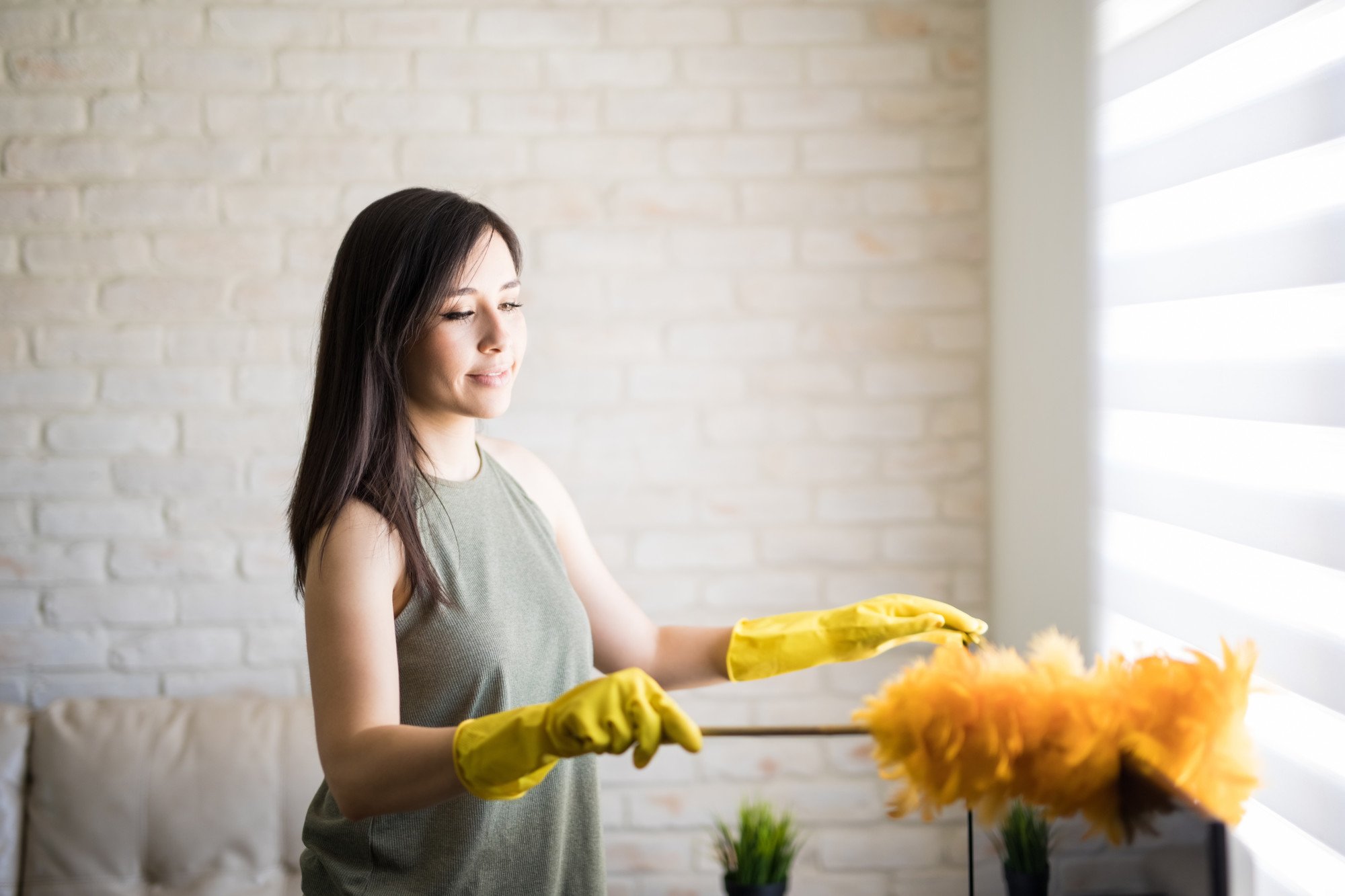Should you dust your house every day? How often should you dust your house? Click here to learn everything you need to know.