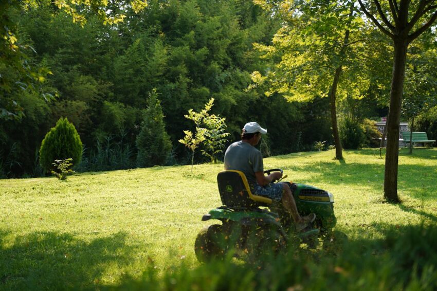 Seasonal Lawn Care Strategies for a Lush Green Landscape